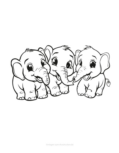 Elefant 05