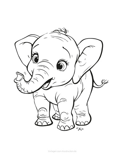 Elefant 08