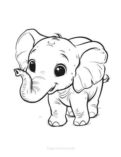 Elefant 12