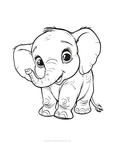 Elefant 13